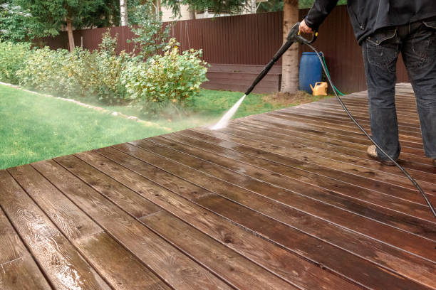 Boat and Dock Cleaning in Trenton, MI